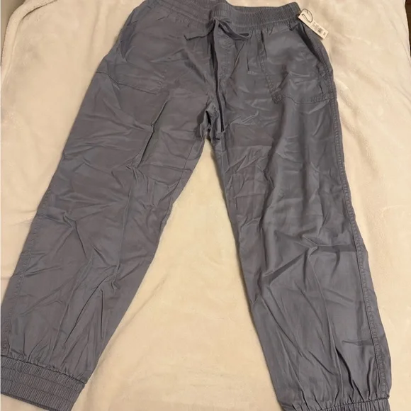 Gray Jogger Pants - Picture 1 of 2